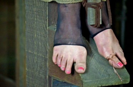 Busty slave hung on cross and tortured with tongue clip & other harsh devices
