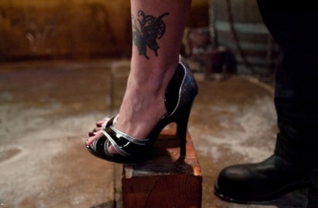 The Training Of O featuring Holly Heart, Maestro Hot Images